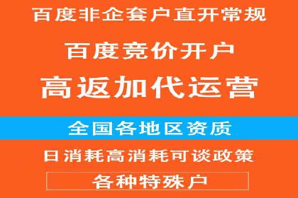 百度推广代运营公司服务解析：从策划到执行的全过程